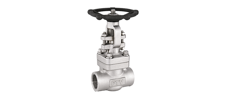 Forged Steel Gate Valve