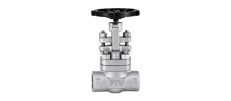 Forged Steel Globe Valve